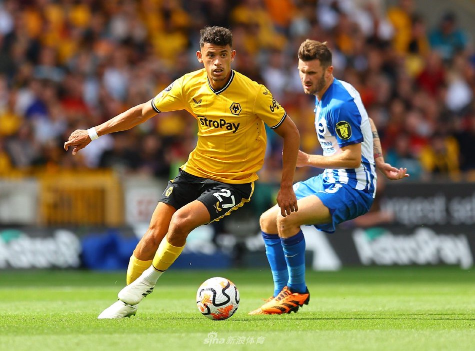 丹麦队的每 丹麦队的每